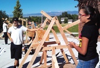 stem-photo_0